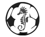 Bayside Football Association