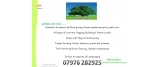 Beechdale Landscapes