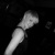 Michelle Adlington is attending