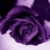 Lorraine Caplan is attending