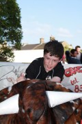 The bull bites back still