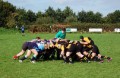SWALLOWS NEEDED Recruitment - SWALLOWS NEEDED