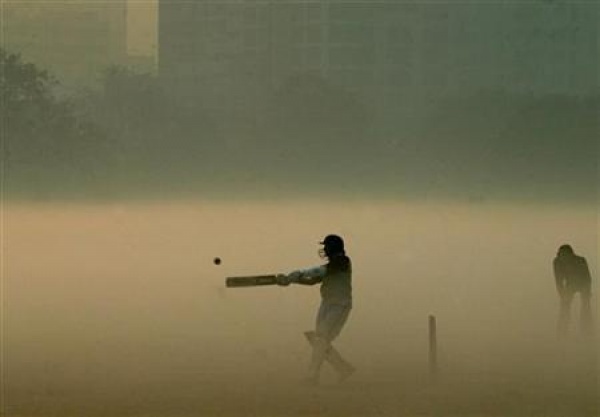 misty ox