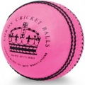 2012 Update from Cricket Scotland image