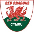 Cymru Red Dragons win EuroCup Plate! image
