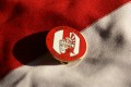 Romulus FC - Club History Club history