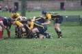 Edinburgh Northern RFC 1st XV v Lismore RFC 1st XV 20/11/2010 still
