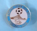 Lapel Badge