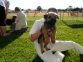Family Picnic and Pet Show June 2011 still