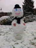 Winter Round Up.... image
