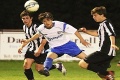 Weekly Round-Up....