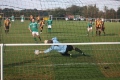 Season 2011/12 still