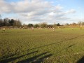 vs Keresley. 08.01.11 still