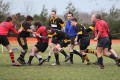 Tadley 3rd xv still