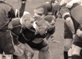 Brocks V Guys and Greenwich still