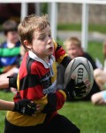 Minis Tournament Photos First Batch (Craig Hunter Photography) still