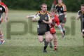 Bedford Tigers v St Ives Roosters still