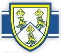 Linnets fear for crocked star