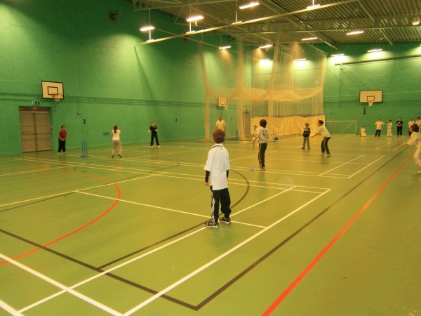 Mini Badgers Nets image