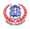 Thame United 5 a side image