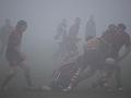 whitehall v morley still