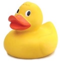 KBCC Quack Quacks KBCC DUCKS 2013