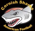 INTERESTED IN SHARKS FOOTBALL? image