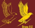 Stone 1XI End of Season image