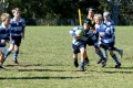 Mosman Juniors Local Rugby Clubs - Mosman Juniors