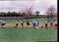 Old Dogs 2001 still