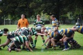 New Scrum rules 2013 / 14 image