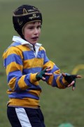 Alton Match Report image