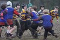 New Milton Match report image