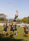 Ospreys v Dragons image