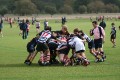 RP_Cork_Wasps 10.09 still