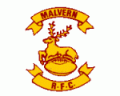 Team v. Rugby Lions (H) (18/02/2012) image