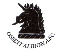 Ossett Albion Earn Evo-Stik Reprieve