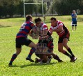 Hautapu vs Te Rapa 2011 still