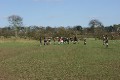 1st XV 19th March V Market Drayton still