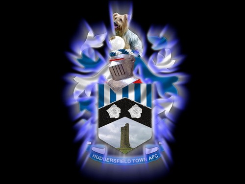 Huddersfield Town Football Club. Junior Football Club Focus