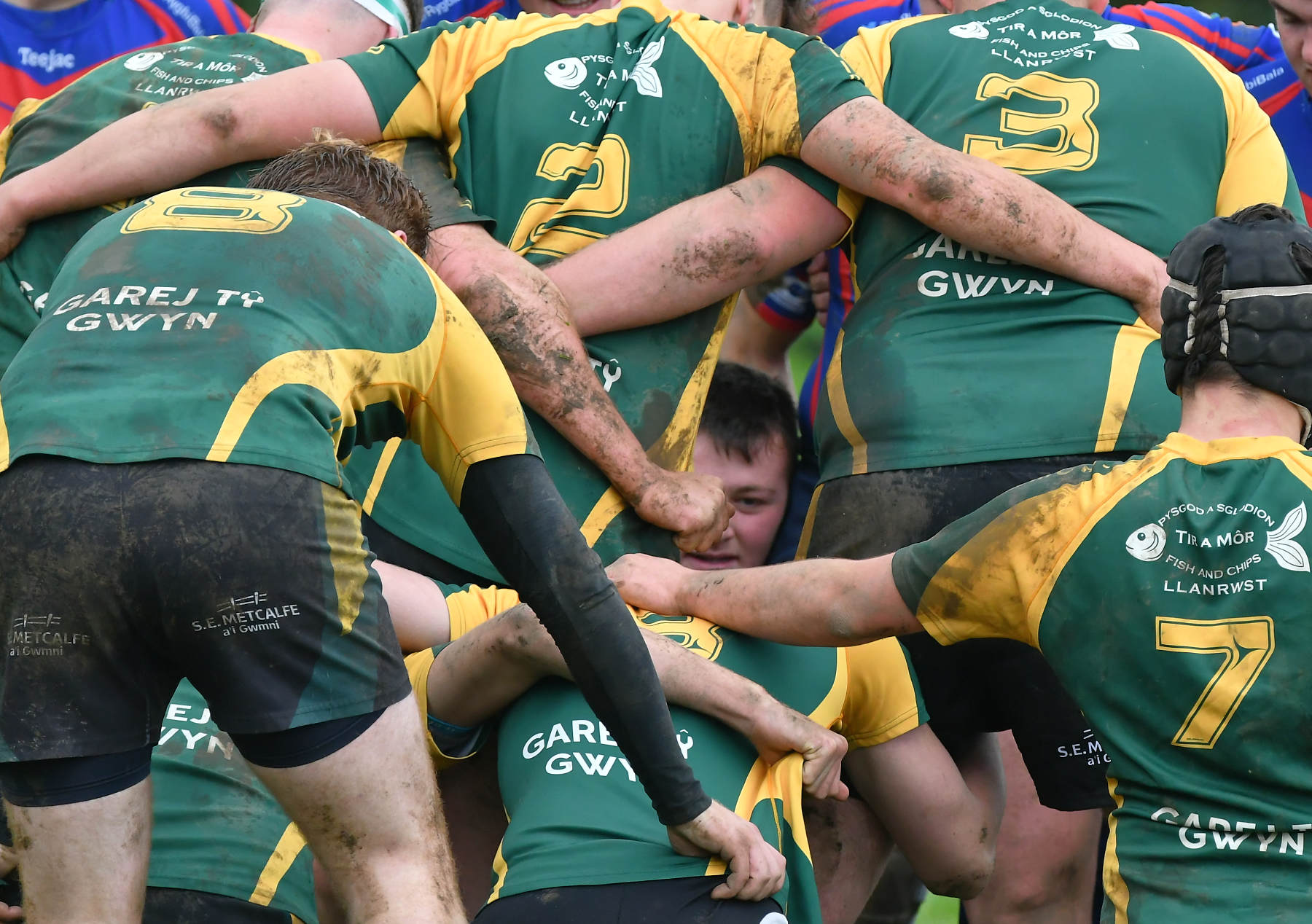 North Wales RUC News Nant Conwy Youth get plum home tie in WRU