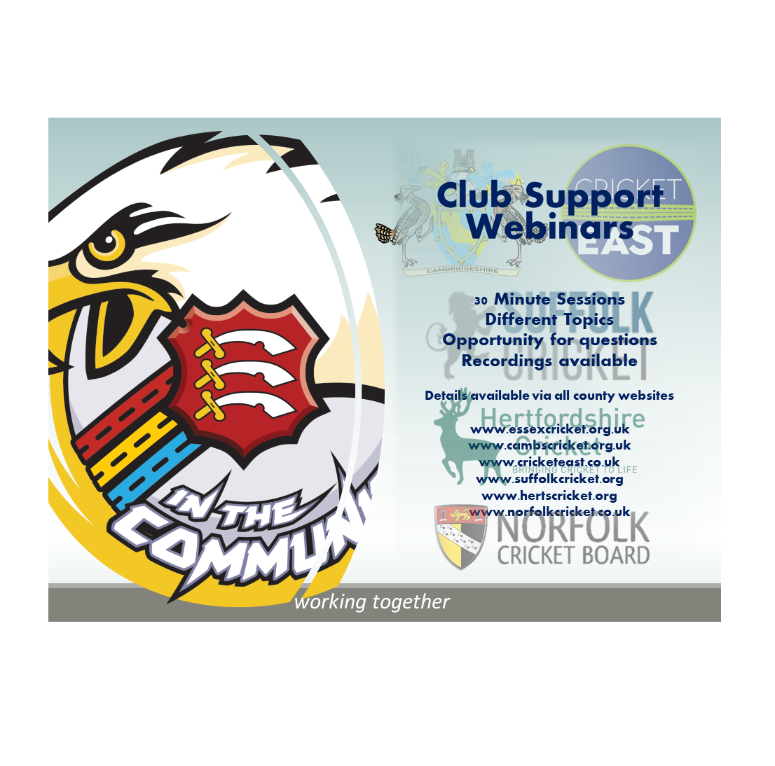 Hertfordshire Cricket News ECB RETURN TO CRICKET STEP 4 GUIDELINES