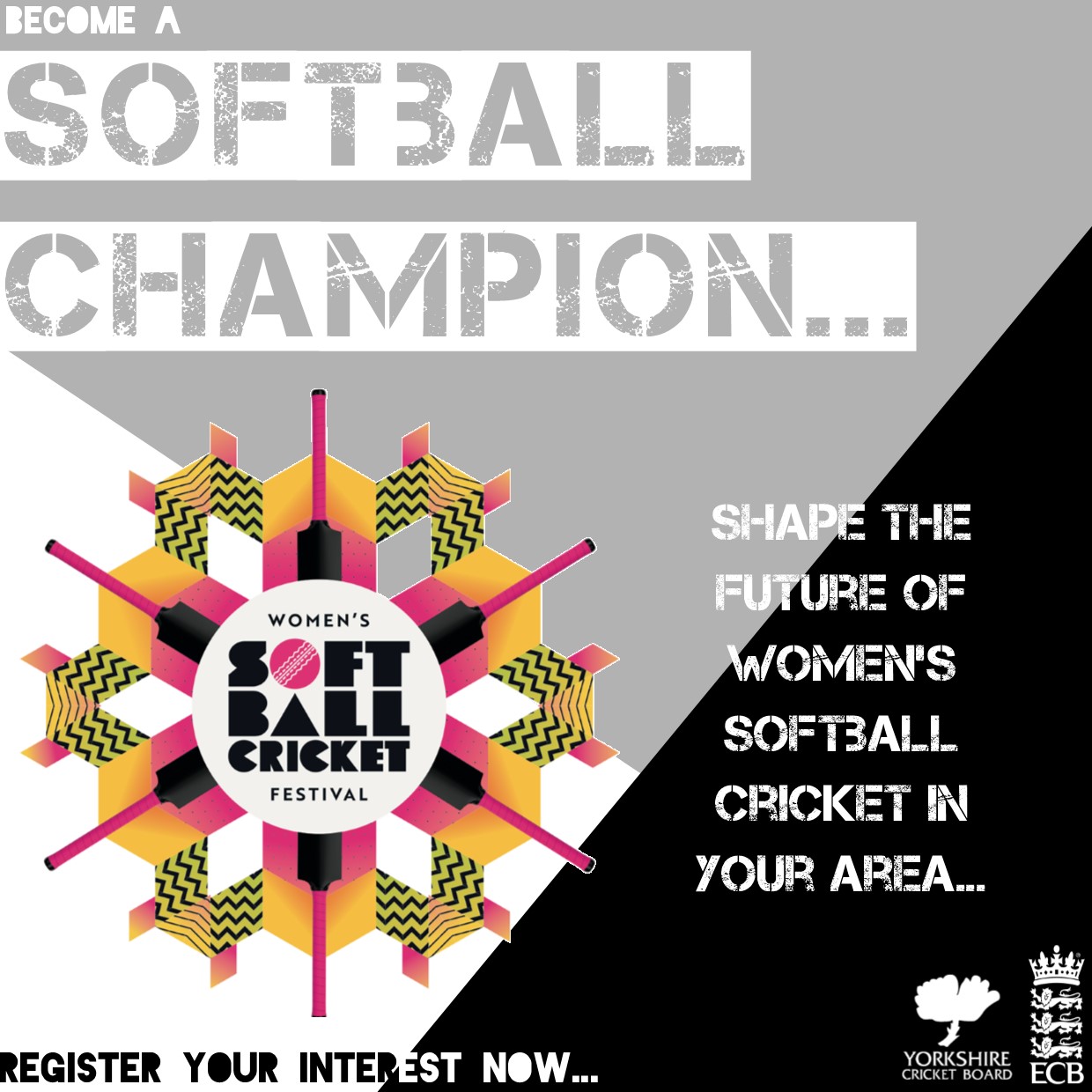 Yorkshire Cricket Board News Women’s Softball Champion Scheme