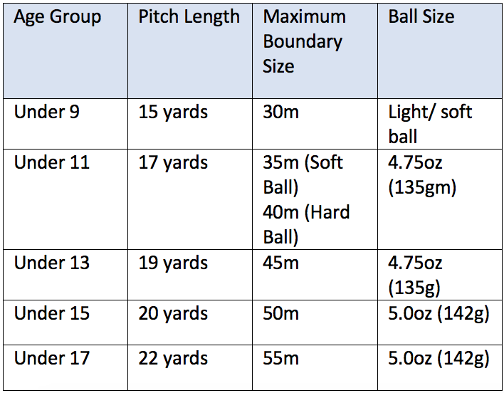 Yorkshire Cricket Board News Girls' District and County Age Group