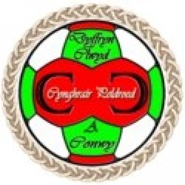 Vale of Clywd & Conwy League